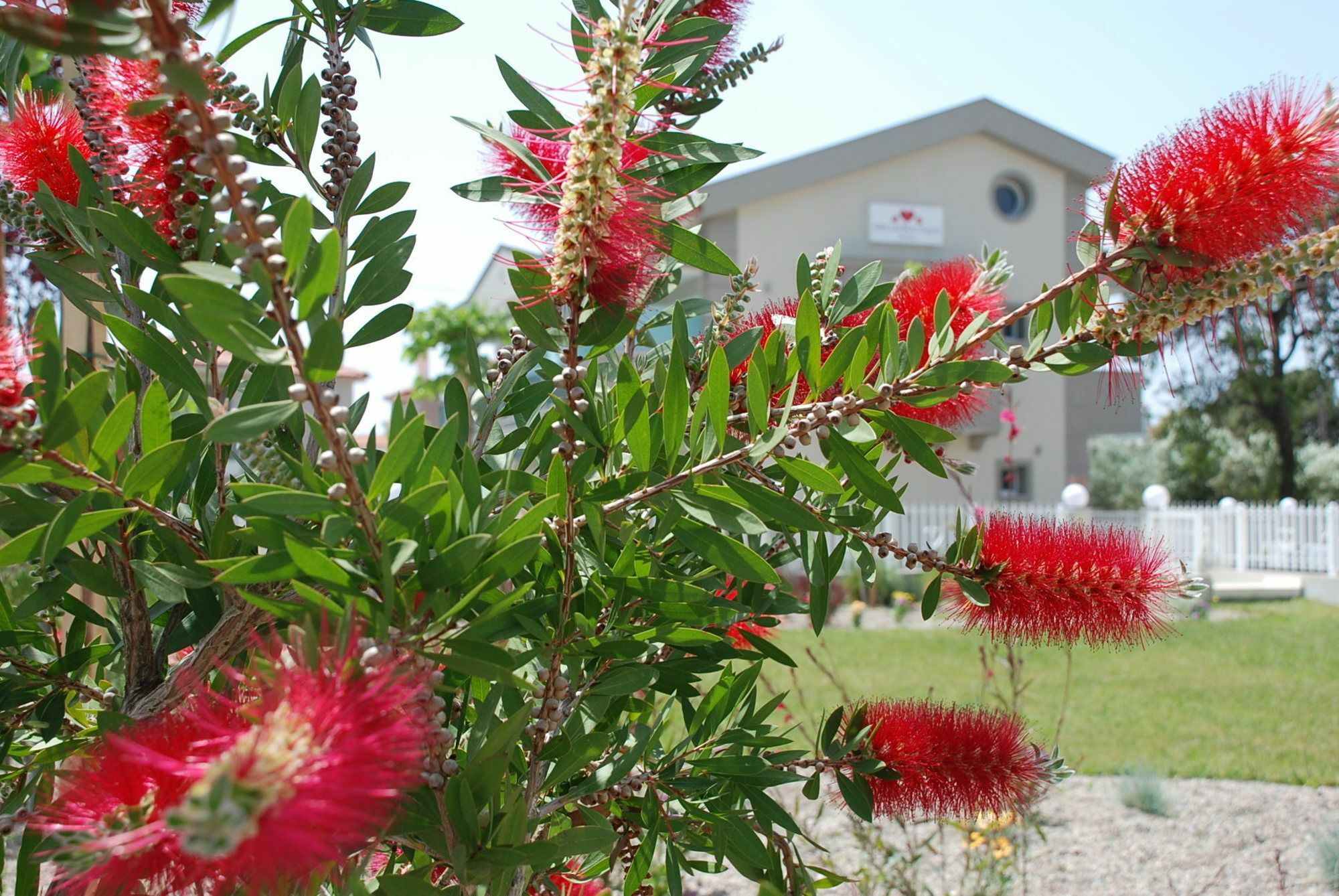 Dream Boutique Apartments Nikiti  Exterior foto